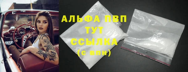 ПСИЛОЦИБИНОВЫЕ ГРИБЫ Коряжма