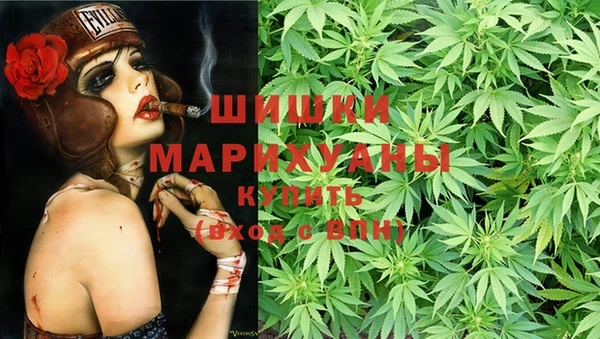 ПСИЛОЦИБИНОВЫЕ ГРИБЫ Коряжма
