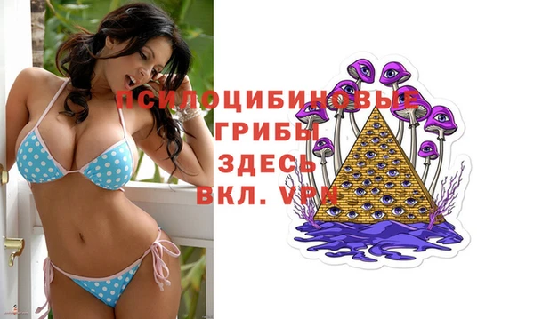 МДПВ Корсаков