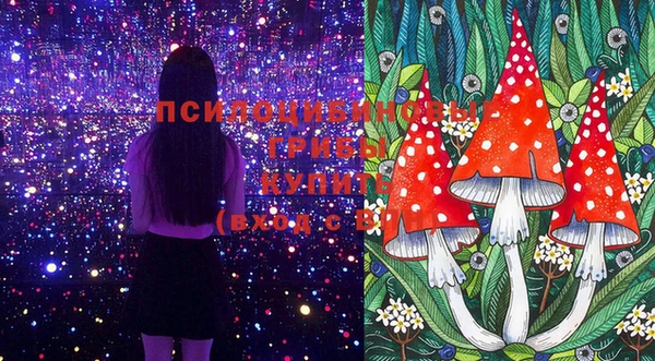 ПСИЛОЦИБИНОВЫЕ ГРИБЫ Коряжма