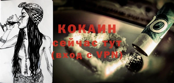 ПСИЛОЦИБИНОВЫЕ ГРИБЫ Коряжма