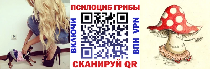 Галлюциногенные грибы Magic Shrooms  mega tor  Меленки 